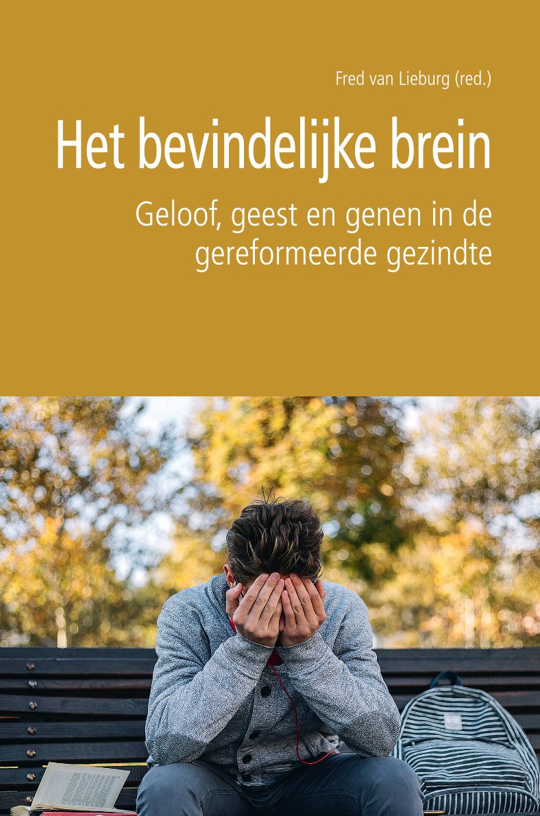 Het bevindelijke brein